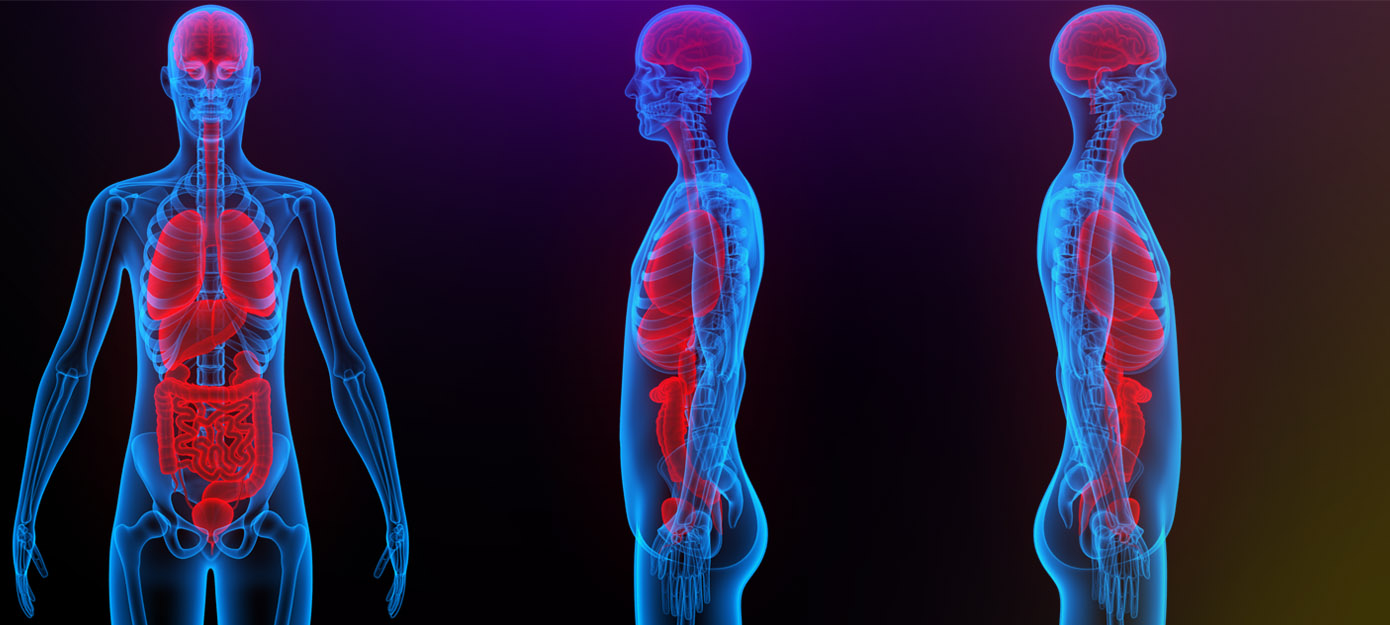 Ιατρικοί Άτλαντες