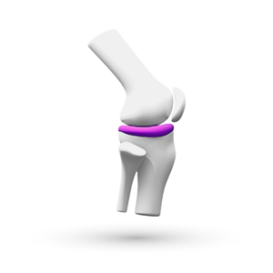 Θεραπευτική κατηγορία Ρευματολογίας